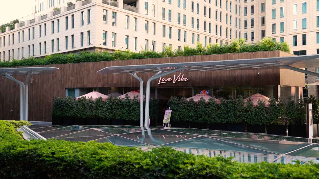 Dubai’s Best-Kept Secret: Love Vibe Café – Your Business Lunch Game Changer