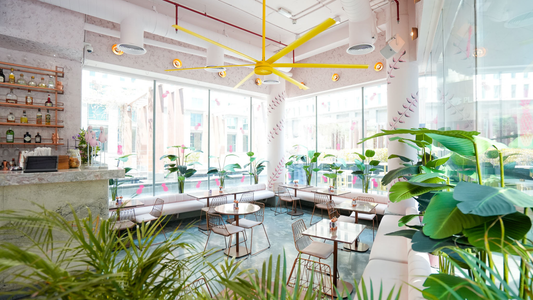 DIFC’s Love Vibe Café: Where Artistic Interiors Meet Culinary Creativity